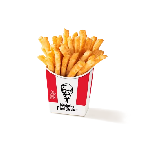 Latest KFC Menu and Prices 2026 142 Secret Recipe Fries